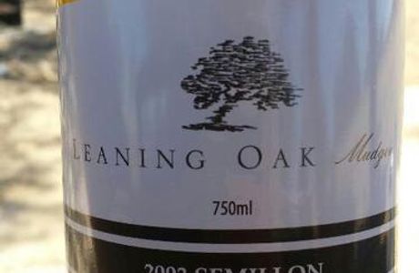 Leaning Oak