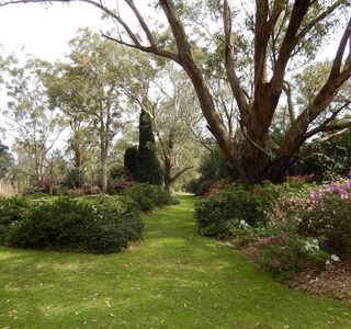 Hunter Region Botanic Gardens