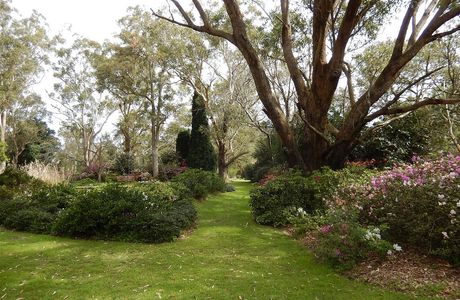 Hunter Region Botanic Gardens