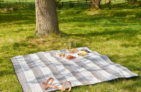 Blanket Leaf Picnic Area