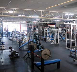 Tabban Muscle & Body Shape