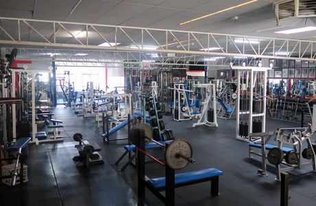 Tabban Muscle & Body Shape