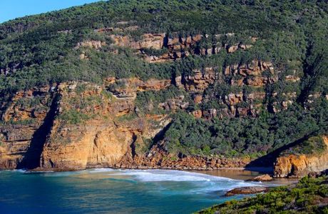 Mount Brown and Crescent Bay Walking Track