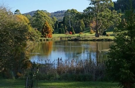 The Tasmanian Arboretum