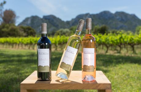 Domaine Des Terres Blanches