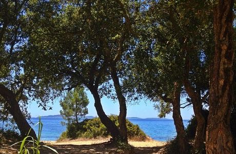 Plage du Pellegrin