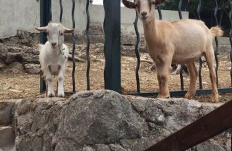 La Récréation Champêtre