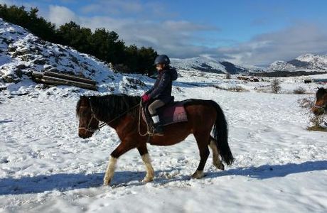 Magic Poney