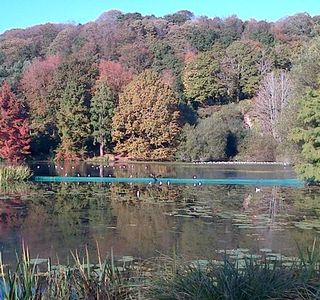 Vallon du stang Alar