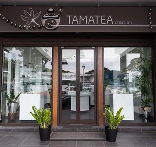 Tamatea Creation