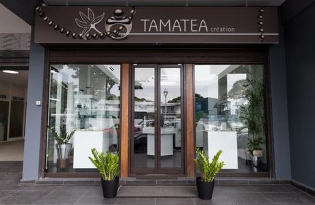 Tamatea Creation