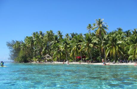 Miel.A Tahiti
