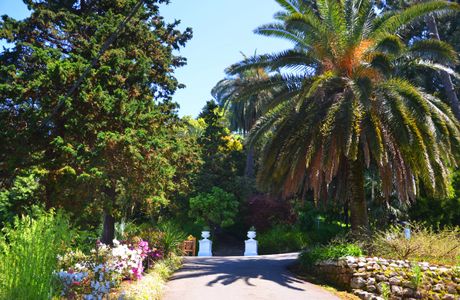 Batumi Botanical Gardens