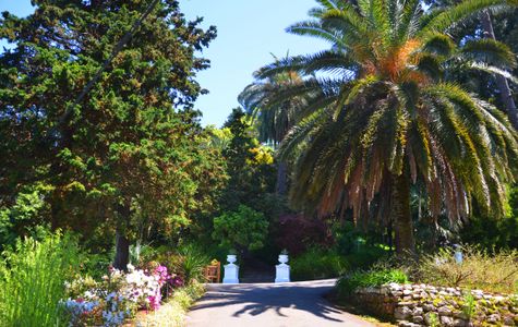 Batumi Botanical Gardens 1