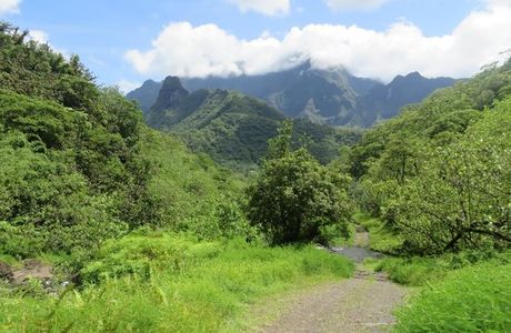 Vallée de la Papenoo