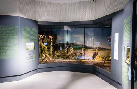 Metkovic Natural History Museum