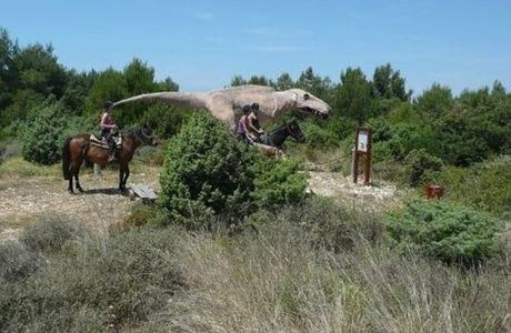 Samy's Ranch