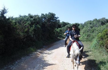 Ranch Istra Star
