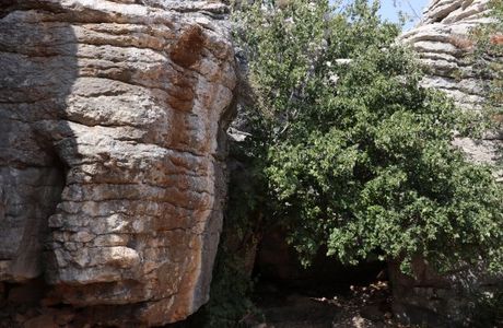 Rocks Park