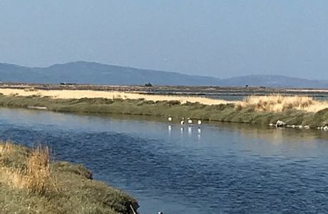 Kalloni Salt Pans