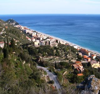 Sbuccia