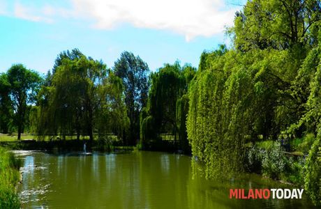 Bar del Parco del Centenario
