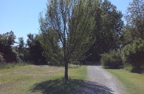 Il Bosco dei Cento Passi