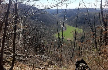 I Sentieri delle Volpi d'Invo - MTB Trails