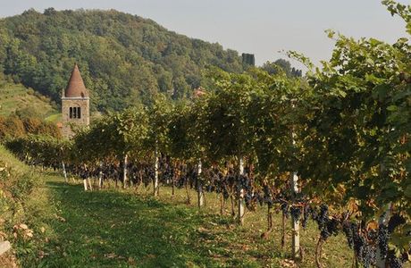 Azienda Agricola Sant'Egidio