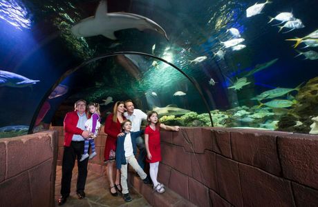 SEA LIFE Hannover