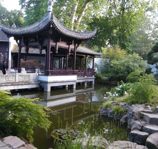 Chinese Garden