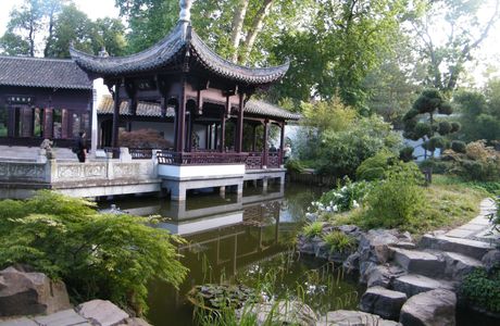 Chinese Garden