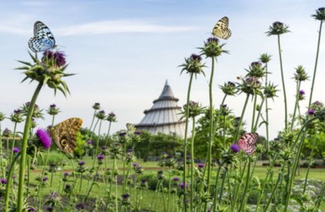 Jahrtausendturm im Elbauenpark