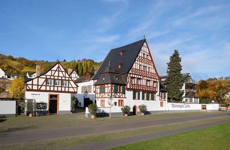 Weingut Treis