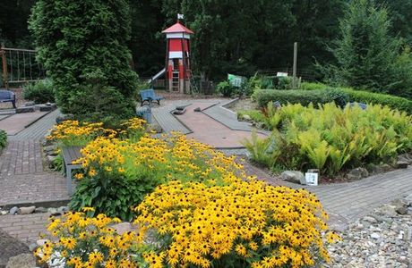 Minigolf Unter Palmen