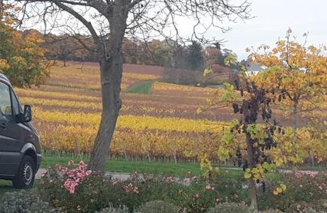 Weingut Stefan & Nicole Hitziger