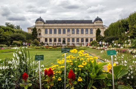 Le Jardin Des Bestioles