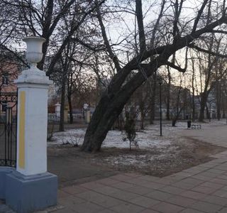 Upper City Garden