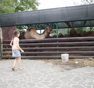 Park Rodnik Zoo