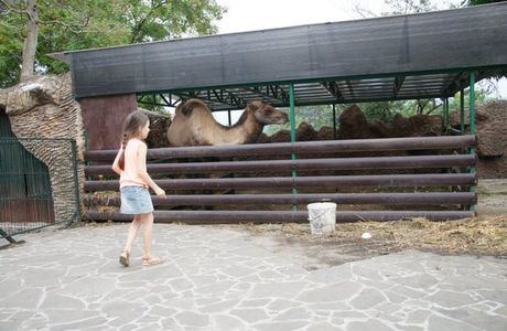 Park Rodnik Zoo