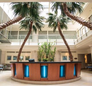 SPA Phoenicia