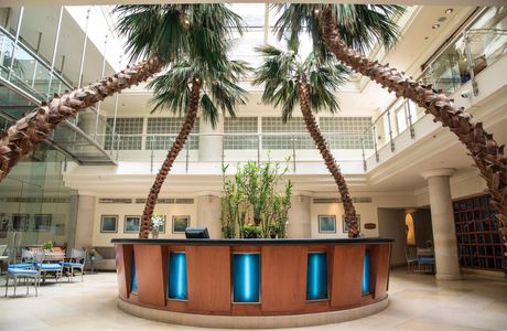 SPA Phoenicia