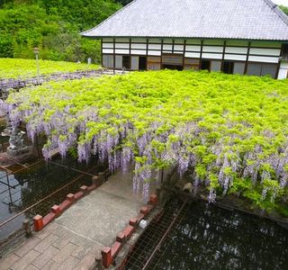 Tyosenji Temple, Honjo