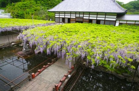 Tyosenji Temple, Honjo