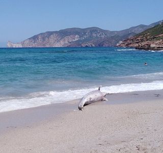 Spiaggia di Fontanamare