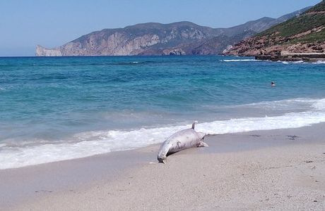 Spiaggia di Fontanamare