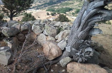 Il Santuario di S'arcu es Forros