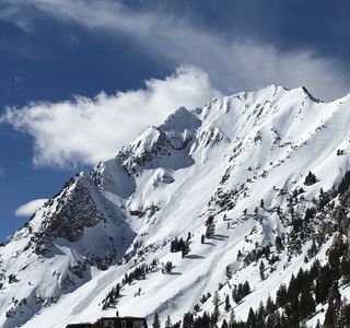 BorealisAlta