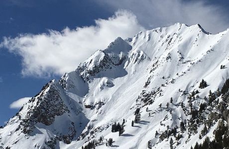BorealisAlta