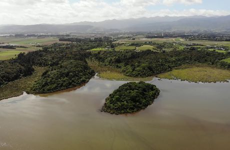 Lake Papaitonga